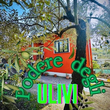 Willa Podere Degli Ulivi Family Serravalle Pistoiese Zewnętrze zdjęcie